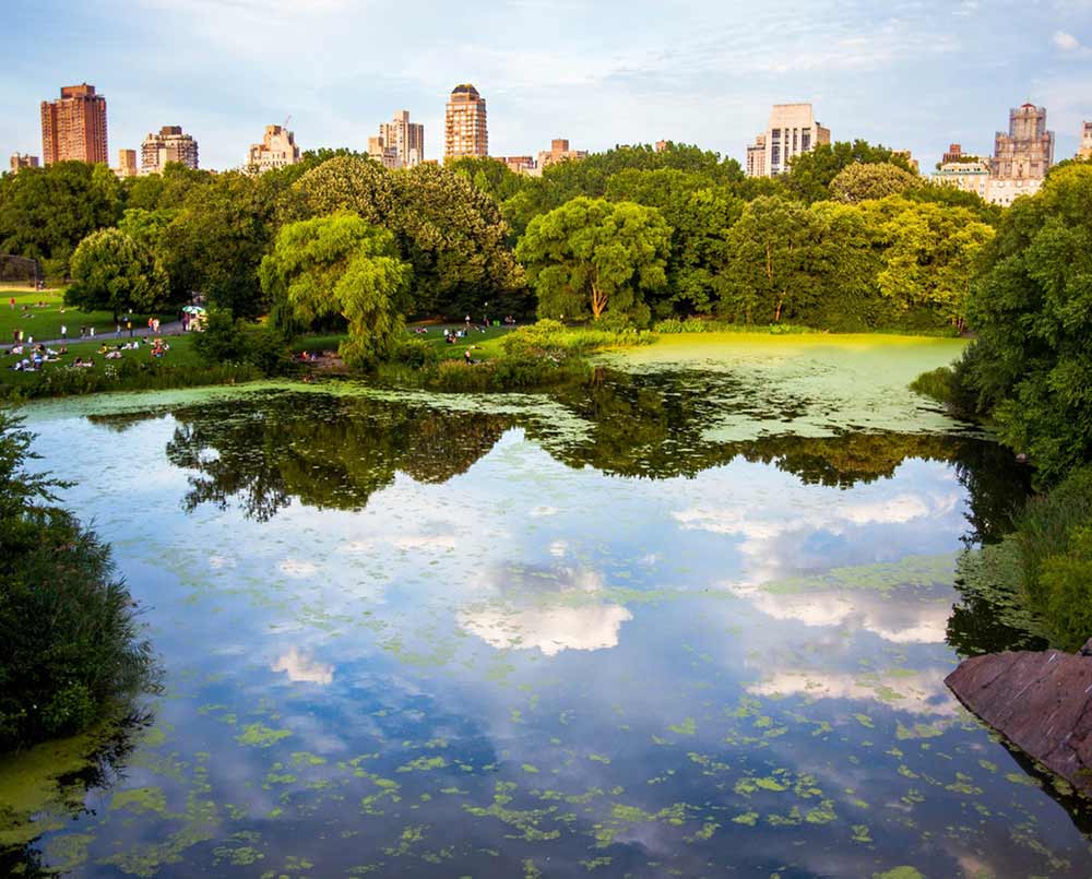 image-galler-20